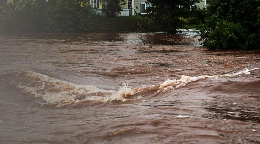 Why choose CrestGenius for water damage restoration in Baton Rouge